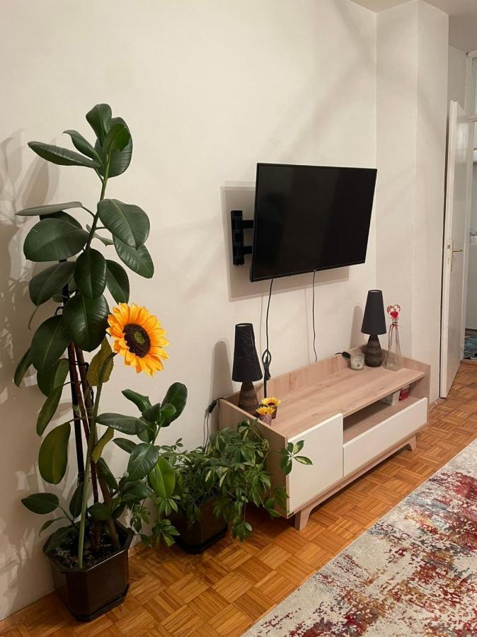 Feel Like Home サラエヴォ エクステリア 写真